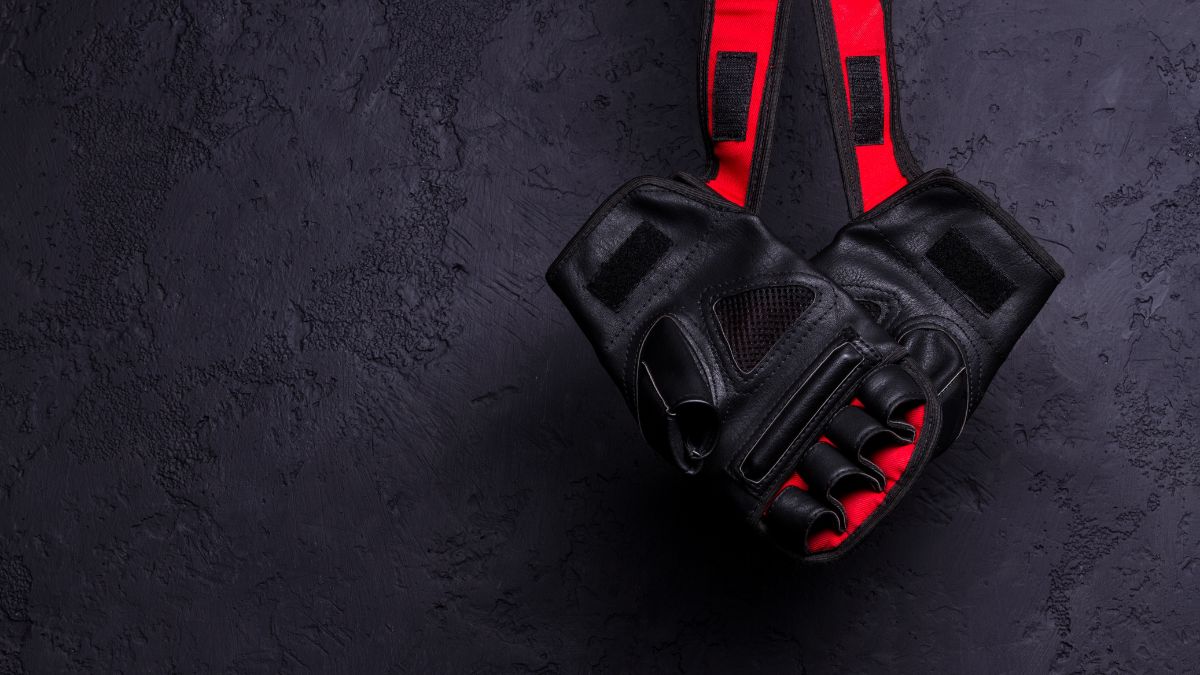 Collectibles and Merchandise: The Business of WWE Fandom